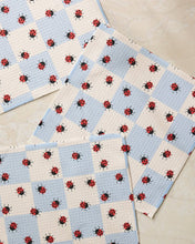 Load image into Gallery viewer, Mariquita Pop Dishcloth Set