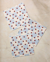 Load image into Gallery viewer, Mariquita Pop Dishcloth Set